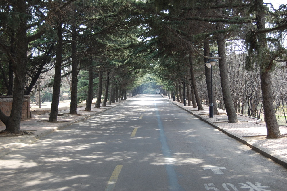 紫荆关路