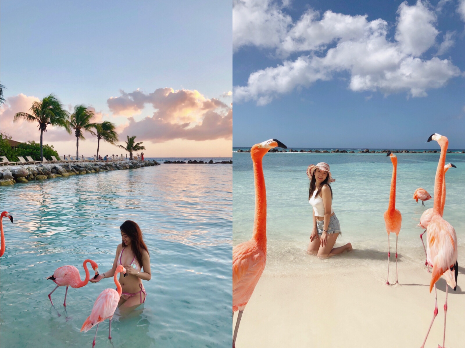 阿鲁巴热门游记 阿鲁巴自助游游记 阿鲁巴旅游热门游记 马蜂窝