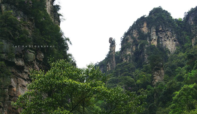 【张家界景点图片】采药老人