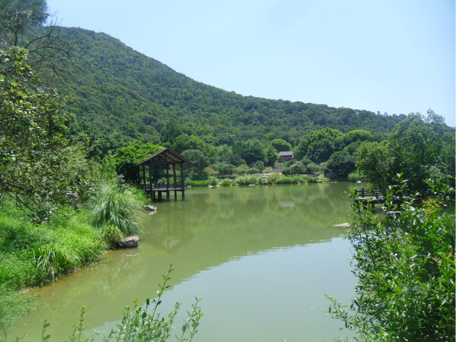 常熟宝岩,消暑,消暑,风过绿竹轻舞.