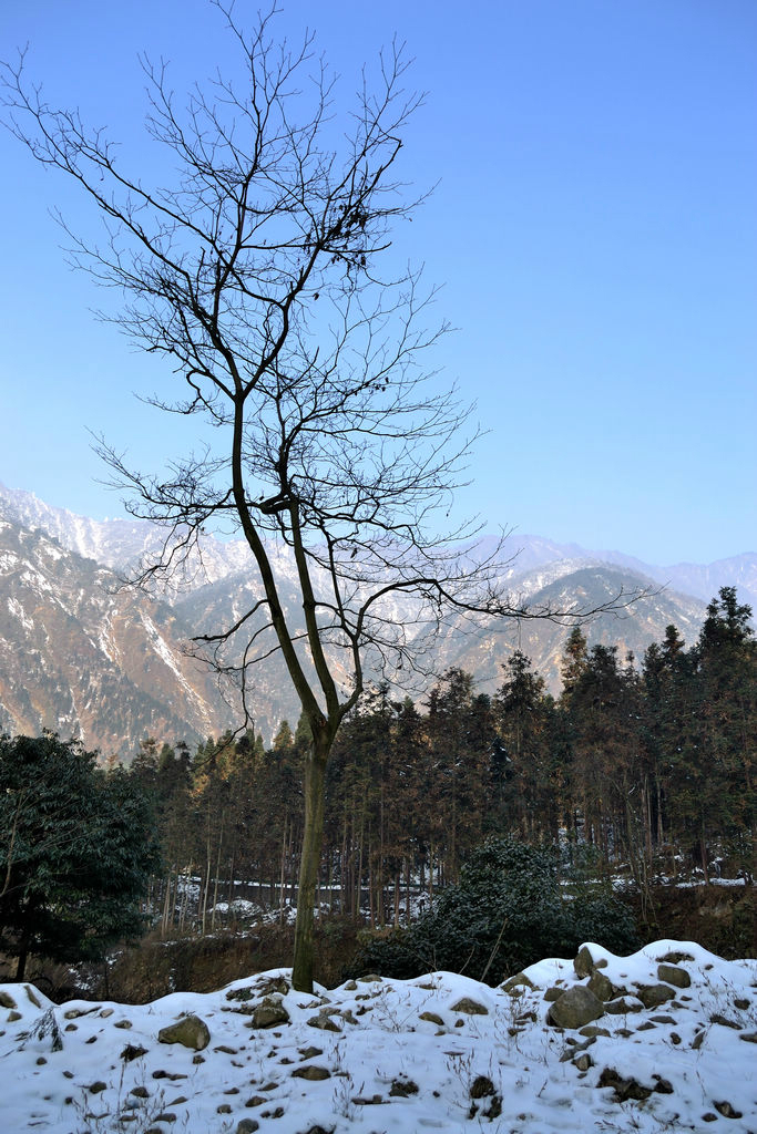 EDG官宣S1Mon离队