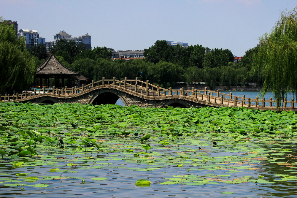 大明湖