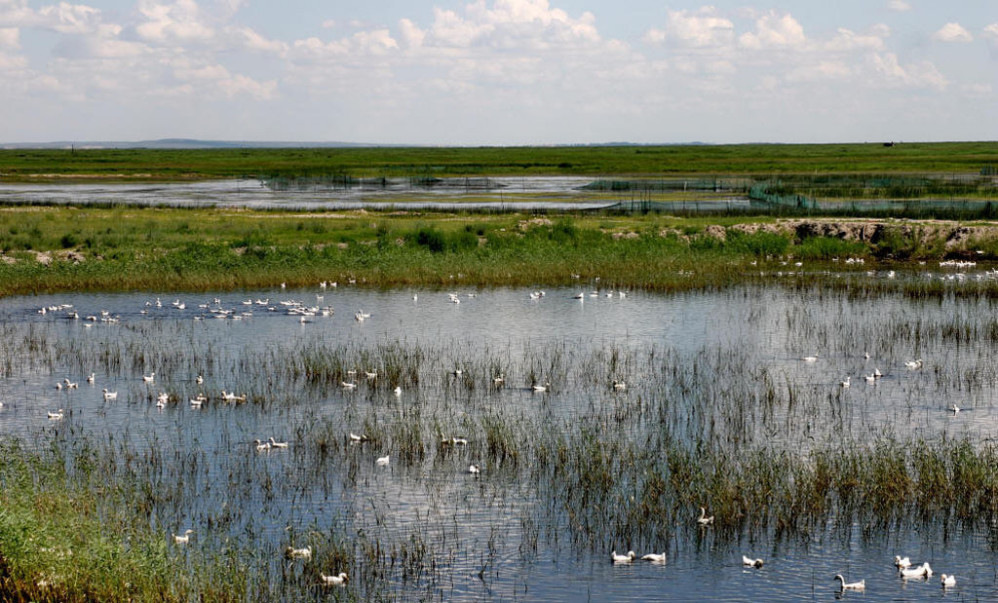 满洲里二子湖攻略,二子湖门票_地址,二子湖游览攻略 - 马蜂窝