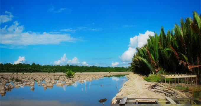 东加里曼丹图片