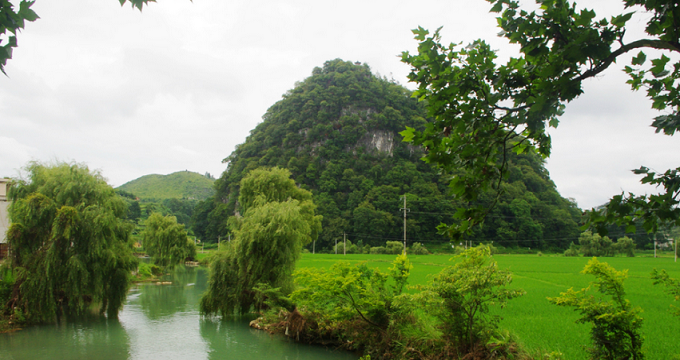 每年2至5月,長順縣的杜鵑花漫山遍野開放,是最好的旅遊季節.