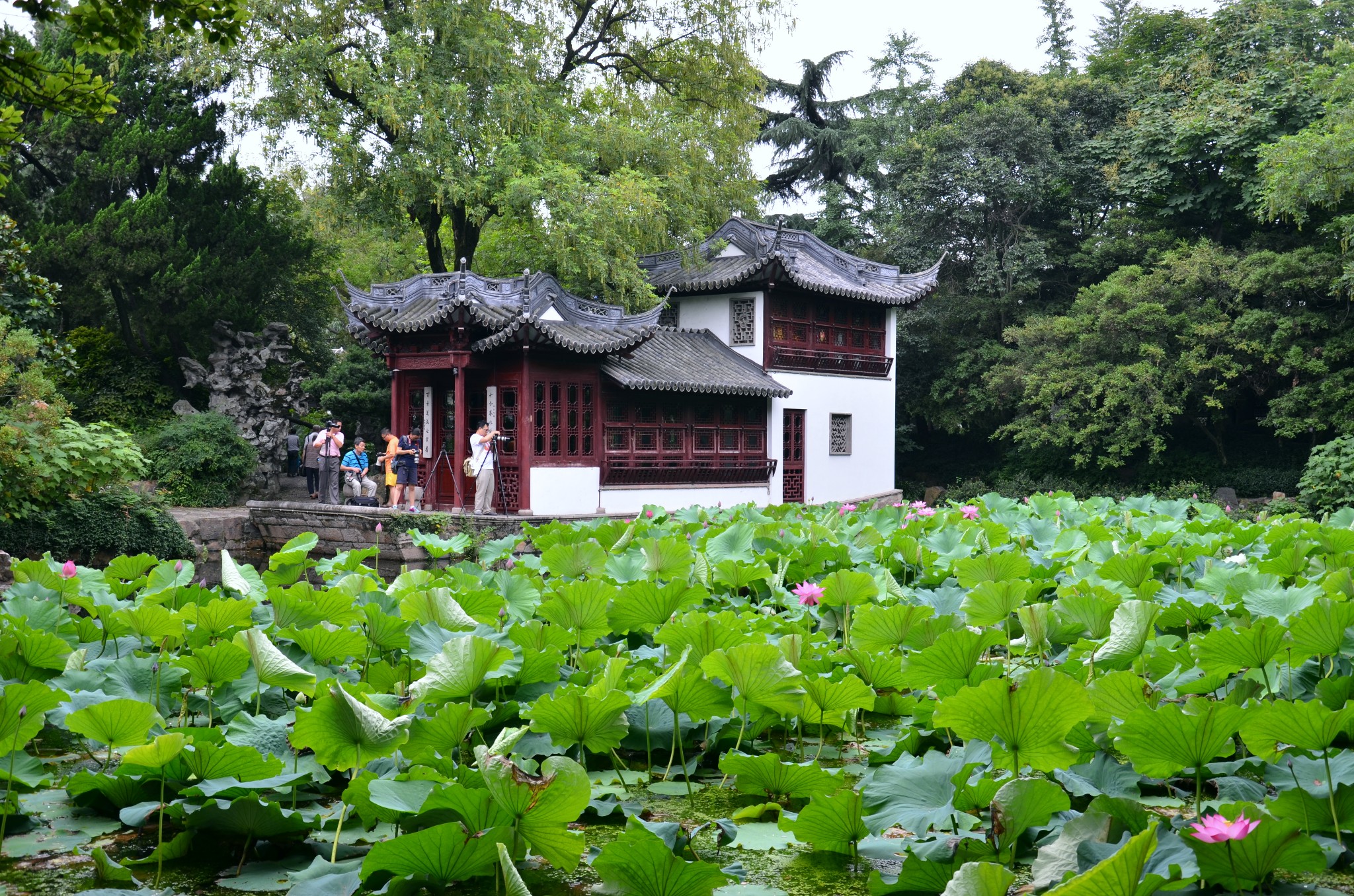 上海儂好-古猗園