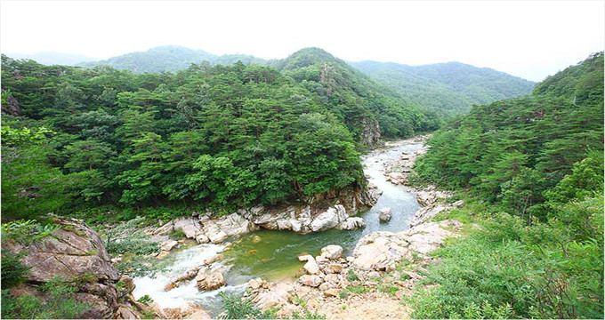 這裡的瓜果在伽倻山的清澈水和洛東江周圍肥沃土地上用環境友好栽培