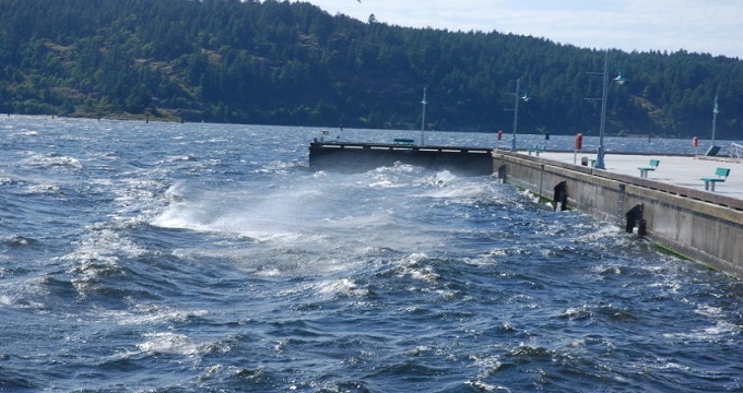 阿尔伯尼港旅游攻略