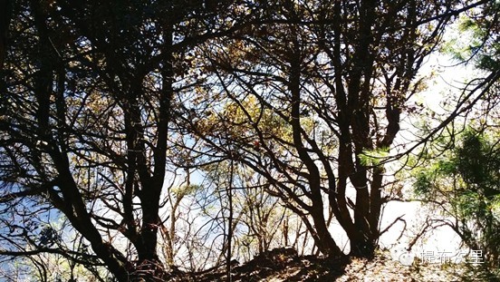 卡瓦格博外转经起点—永芝村