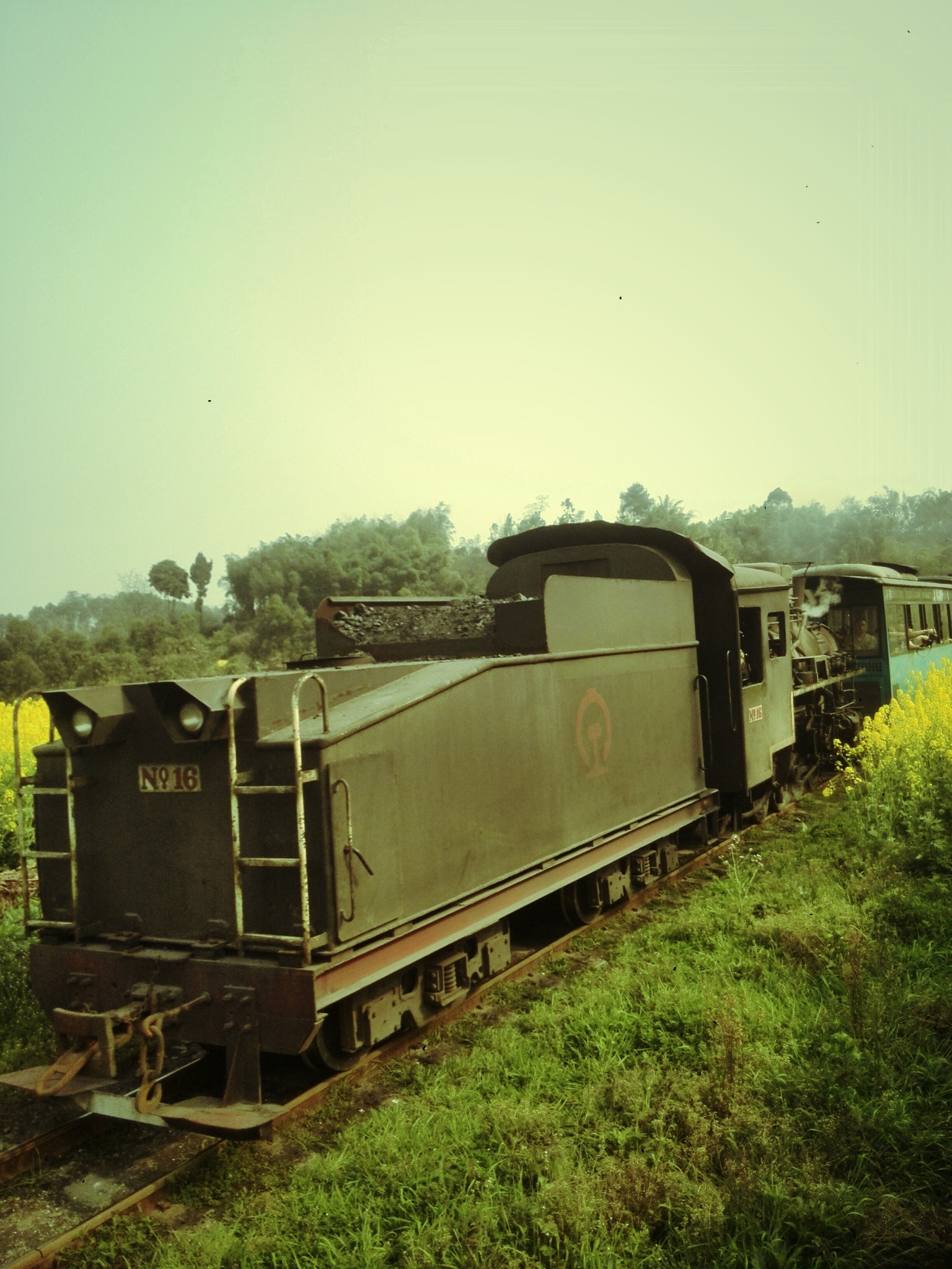 一头扎进春光里 记嘉阳国家矿山公园(嘉阳小火车)徒步两日游