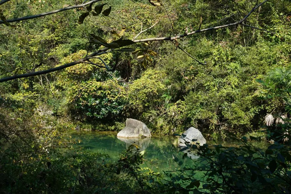 重溫安徽之黃山,黃山旅遊攻略 - 馬蜂窩