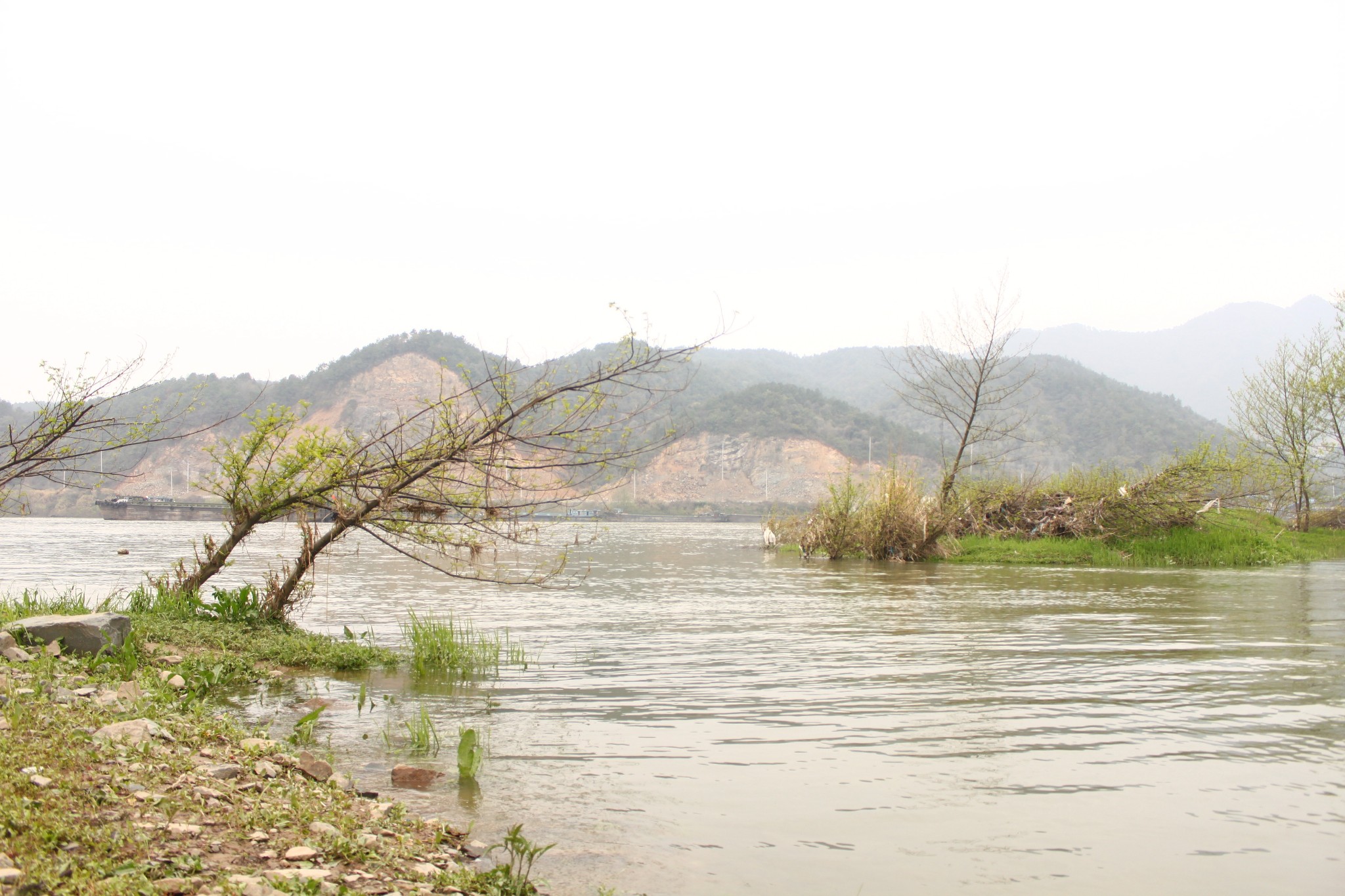 【i-fuyang】杭州富陽桐洲島---《煙雨桐洲,最美春天》