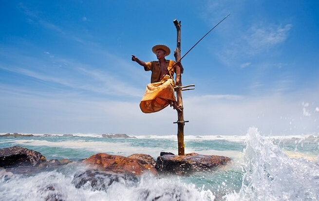 斯里兰卡的高跷捕鱼,让人称奇!