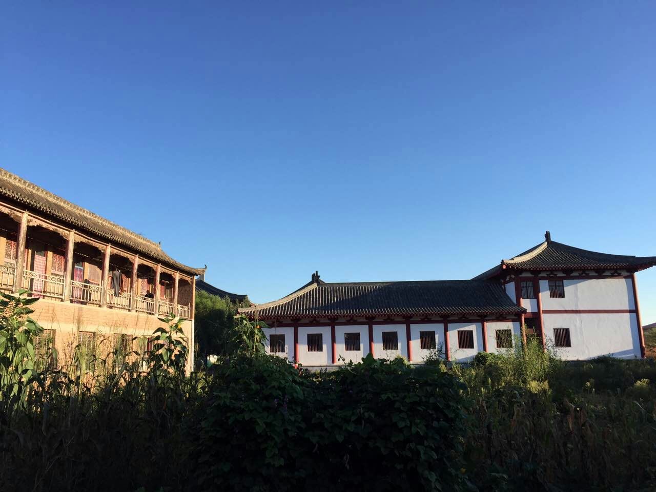 禅宗祖庭——邯郸成安二祖寺一日禅修