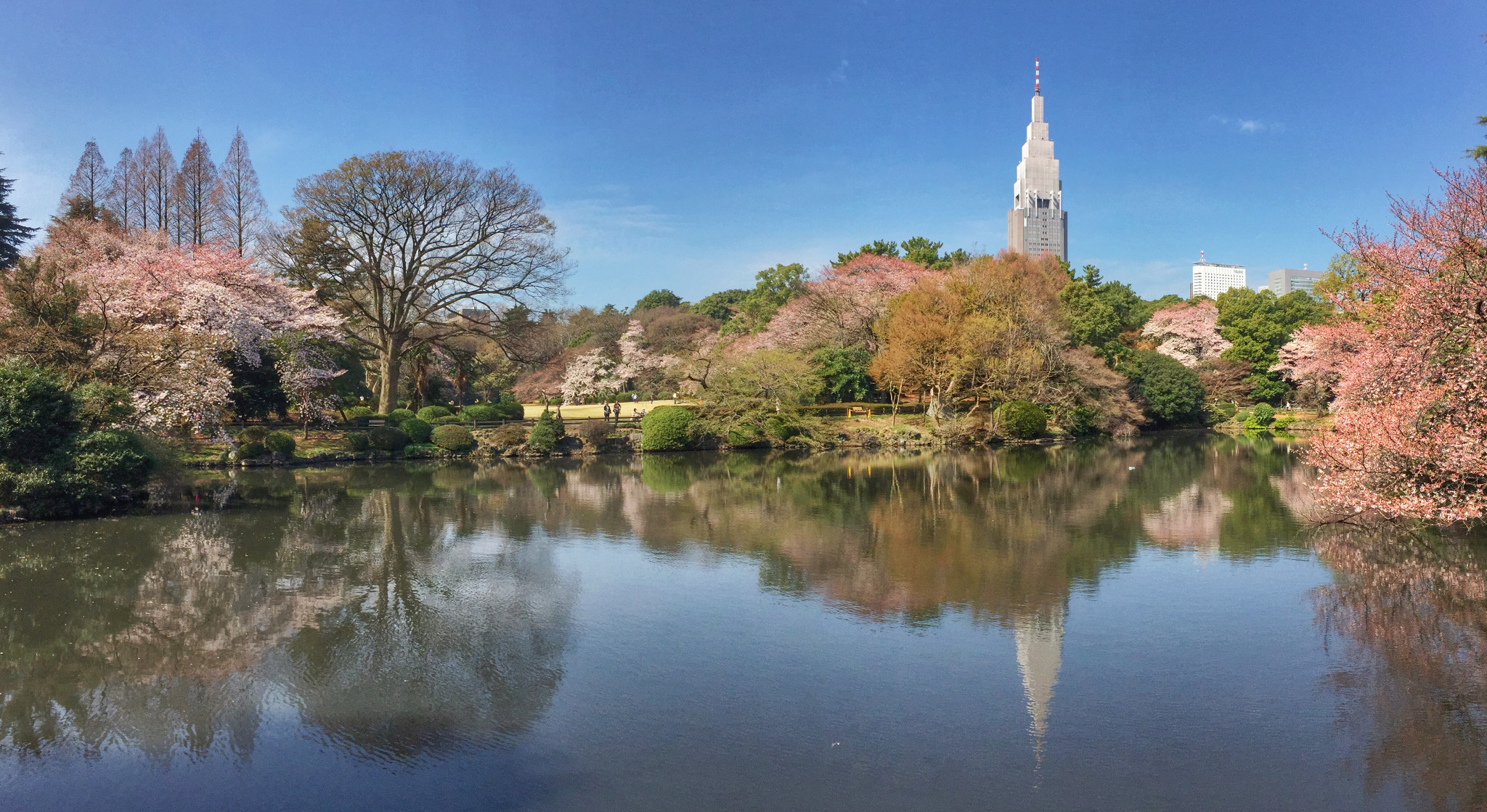 新宿御苑攻略 新宿御苑门票 地址 新宿御苑景点攻略 马蜂窝