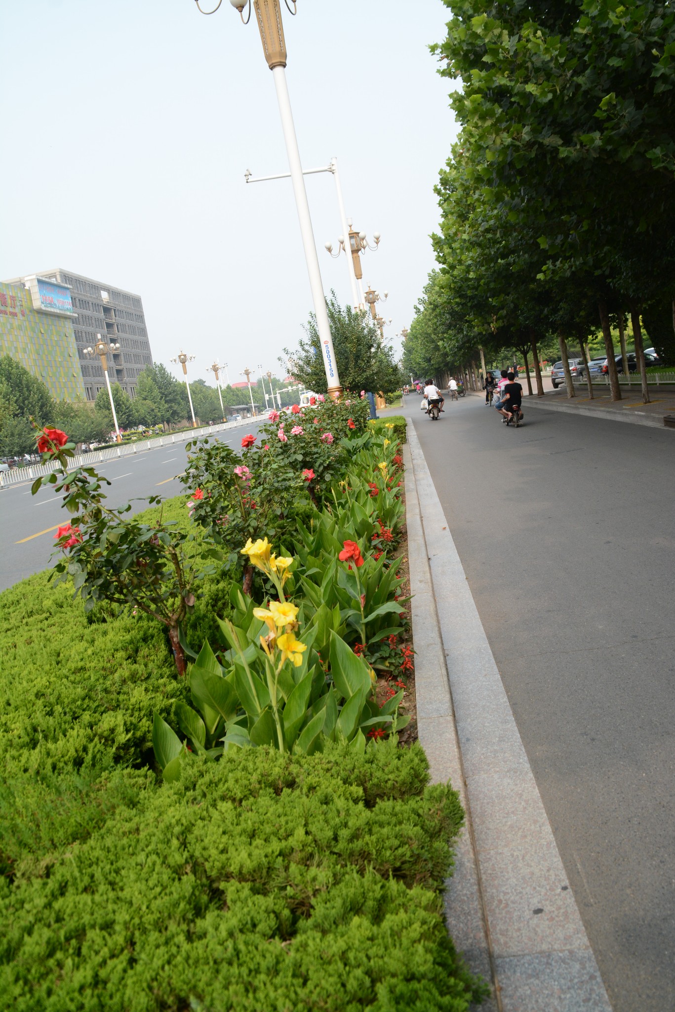 石家庄街景随拍