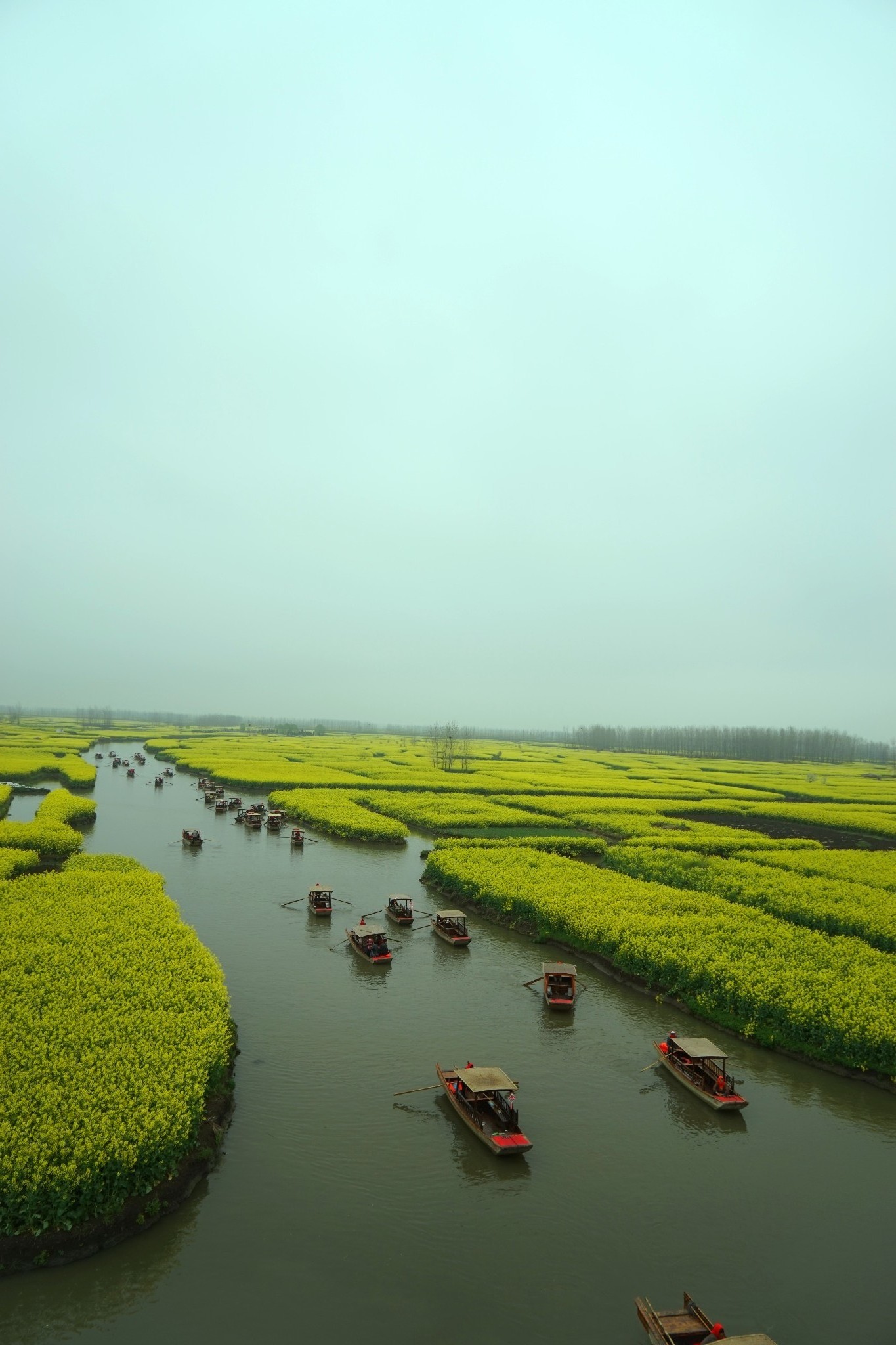 沈園,書聖故里,鎮江西津渡,北固山興化千垛油菜花】,嘉興旅遊攻略