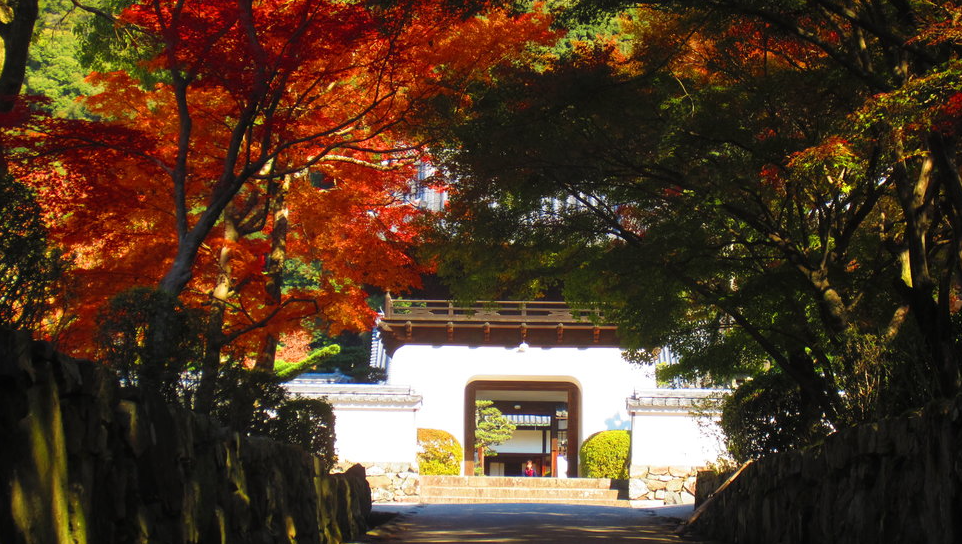 兴圣寺攻略 兴圣寺门票 地址 兴圣寺景点攻略 马蜂窝