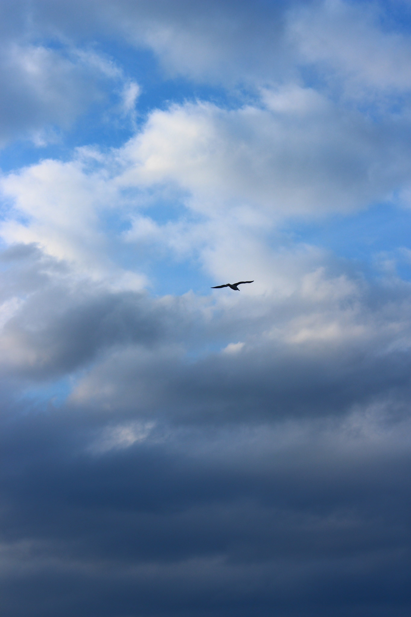 济州岛十二月单身狗吹着年末凌厉的风