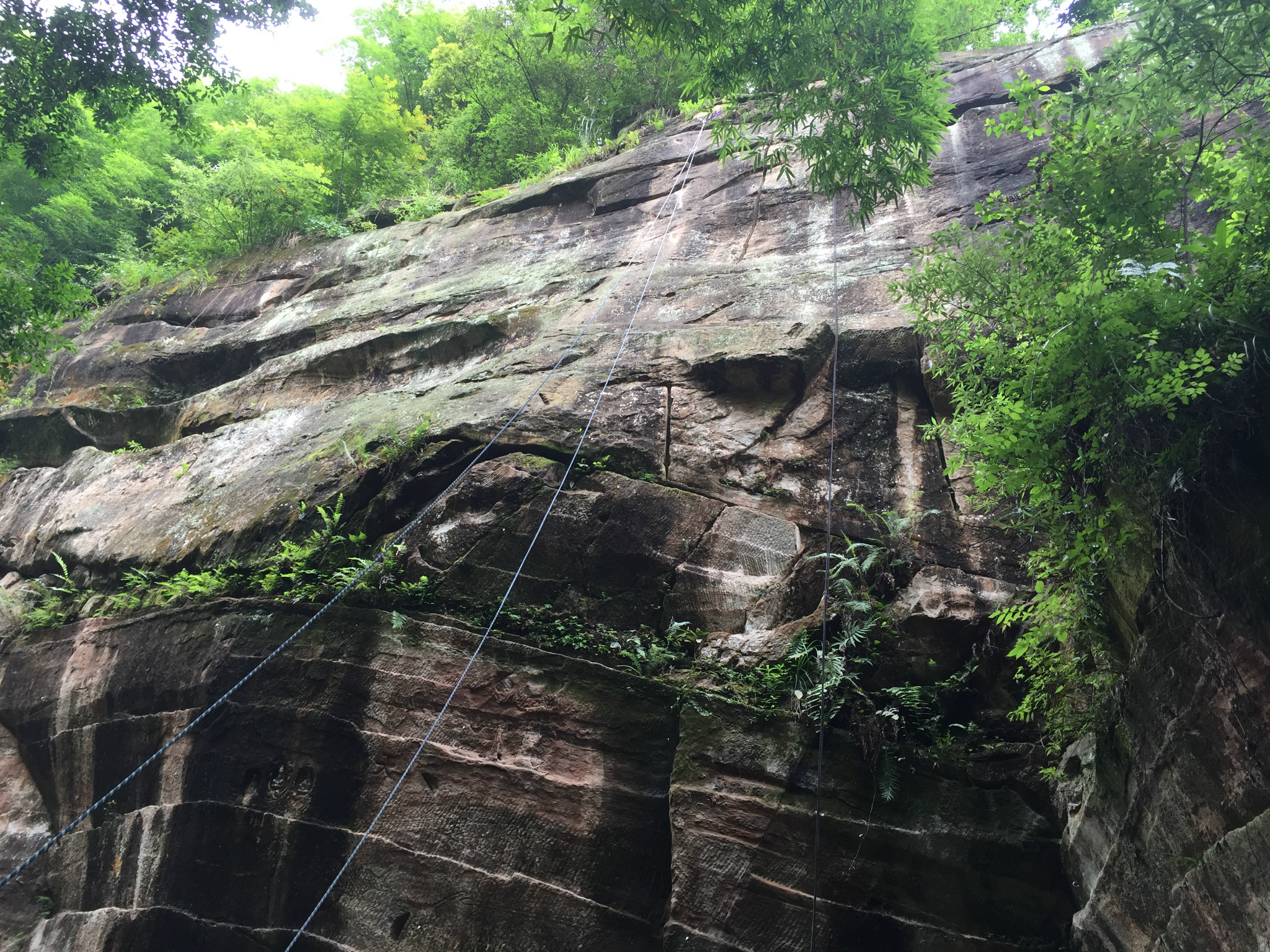 20160702徒步金雞谷,訪古花楸山,邛崍旅遊攻略 - 馬蜂窩