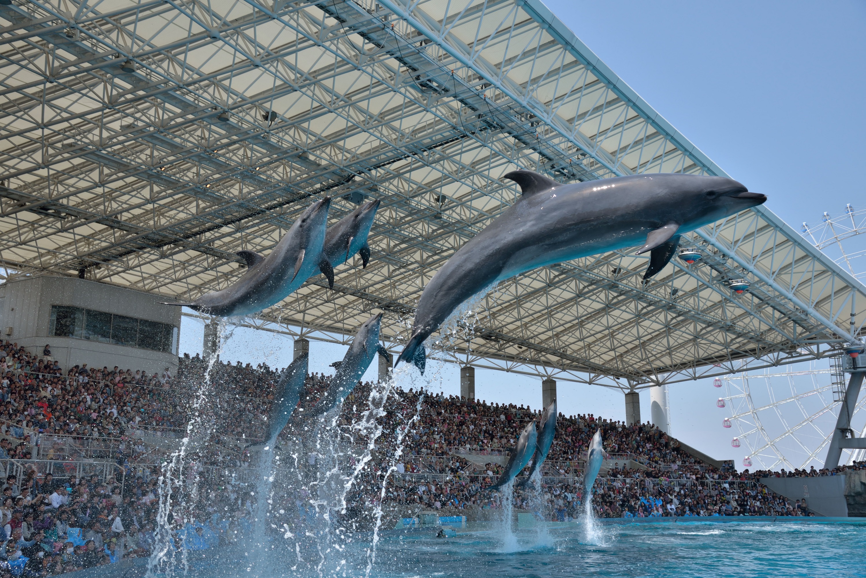 名古屋港水族馆门票及套票