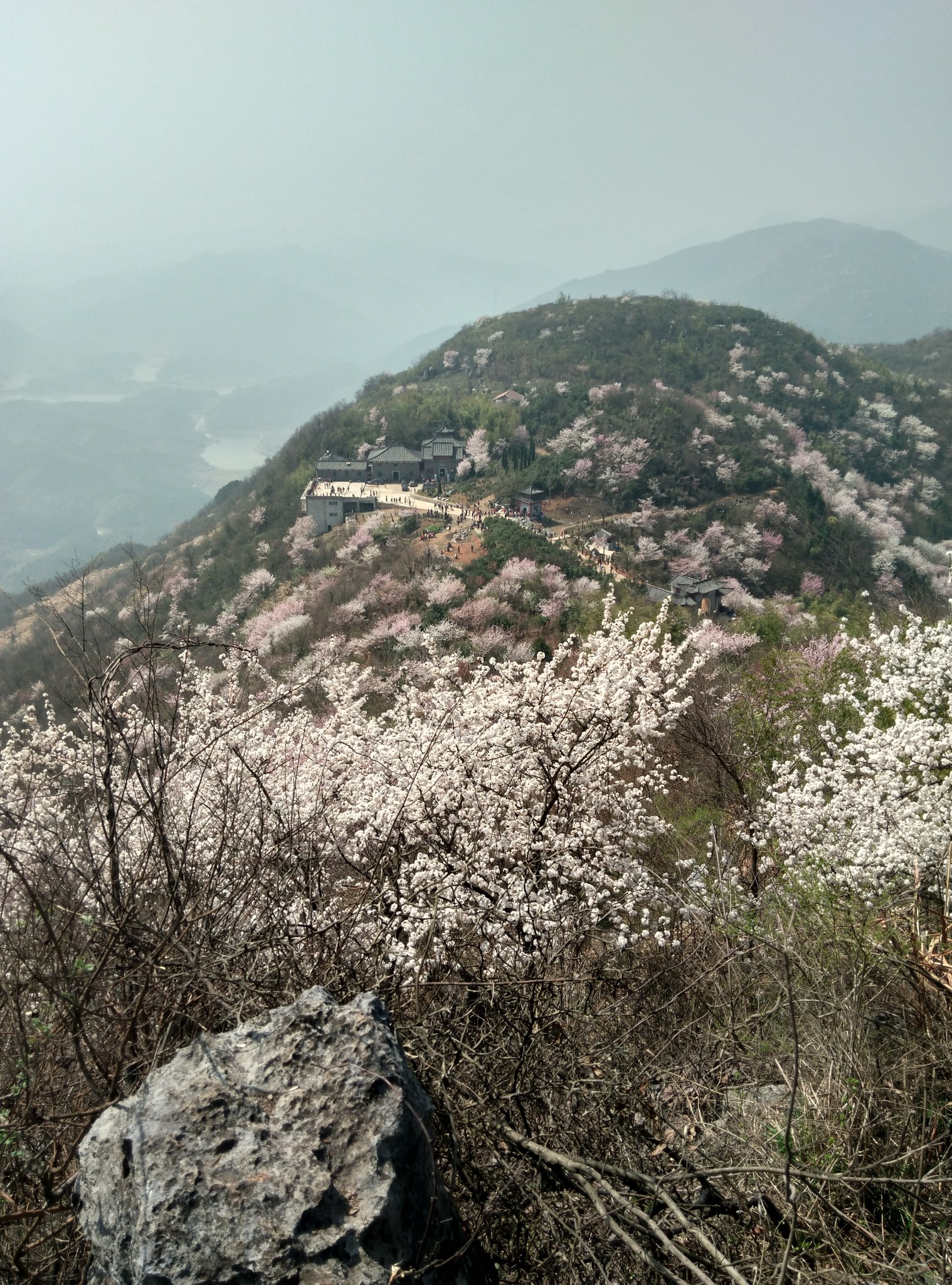 櫻花爛漫葛仙山(50p),赤壁自助遊攻略 - 馬蜂窩