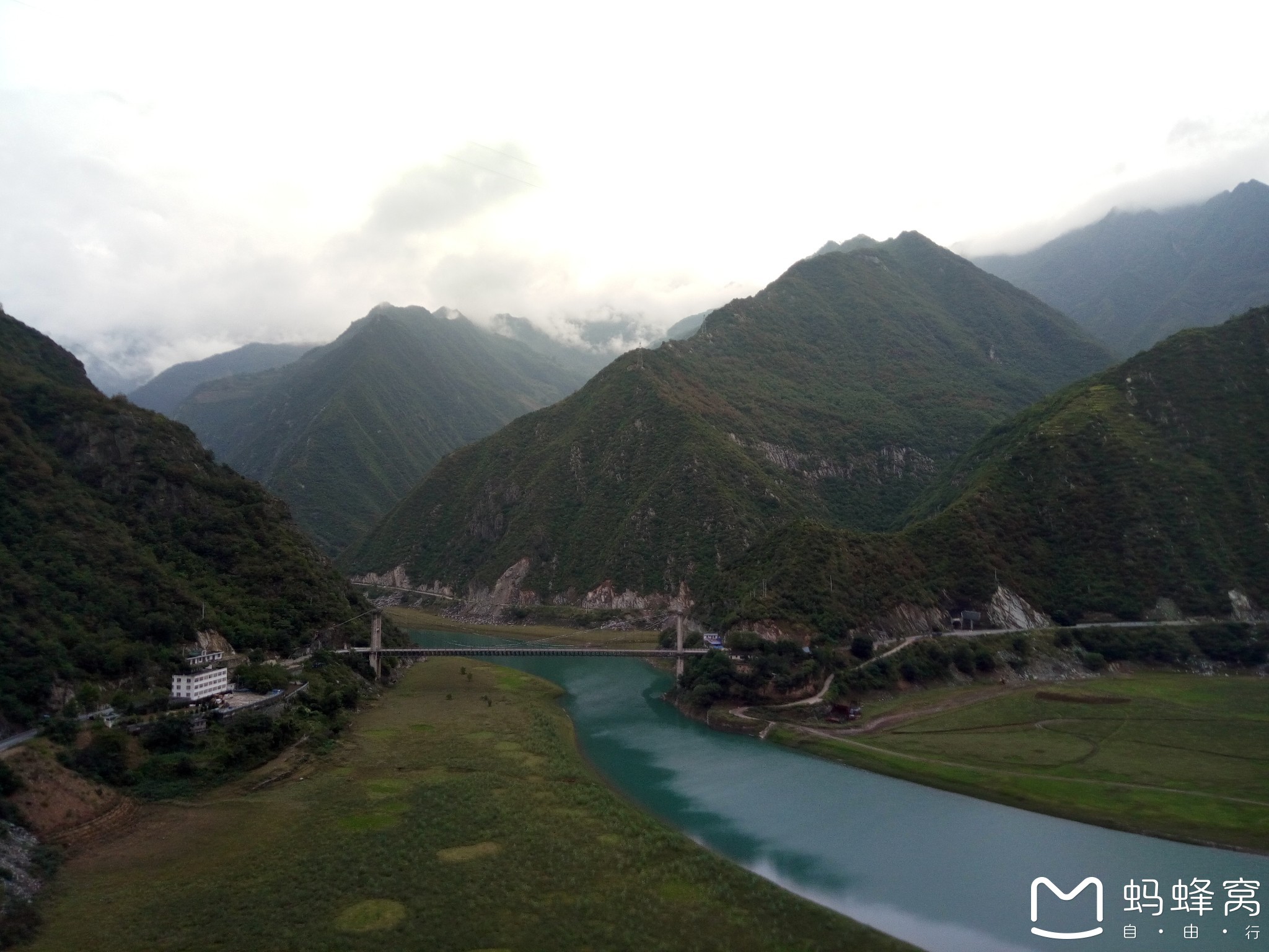 陇南文县 马蜂窝