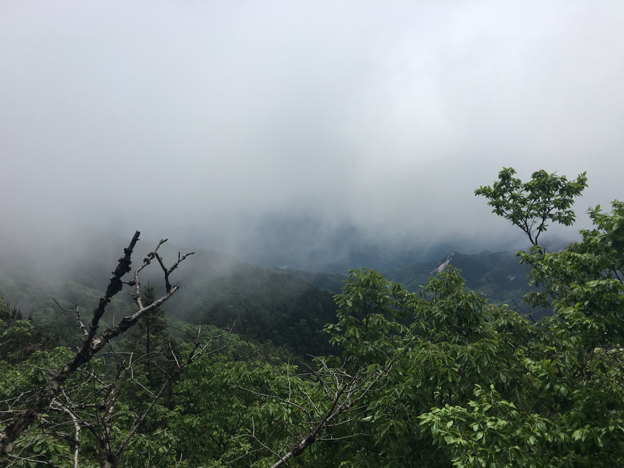 避暑看雲海就來薄刀鋒