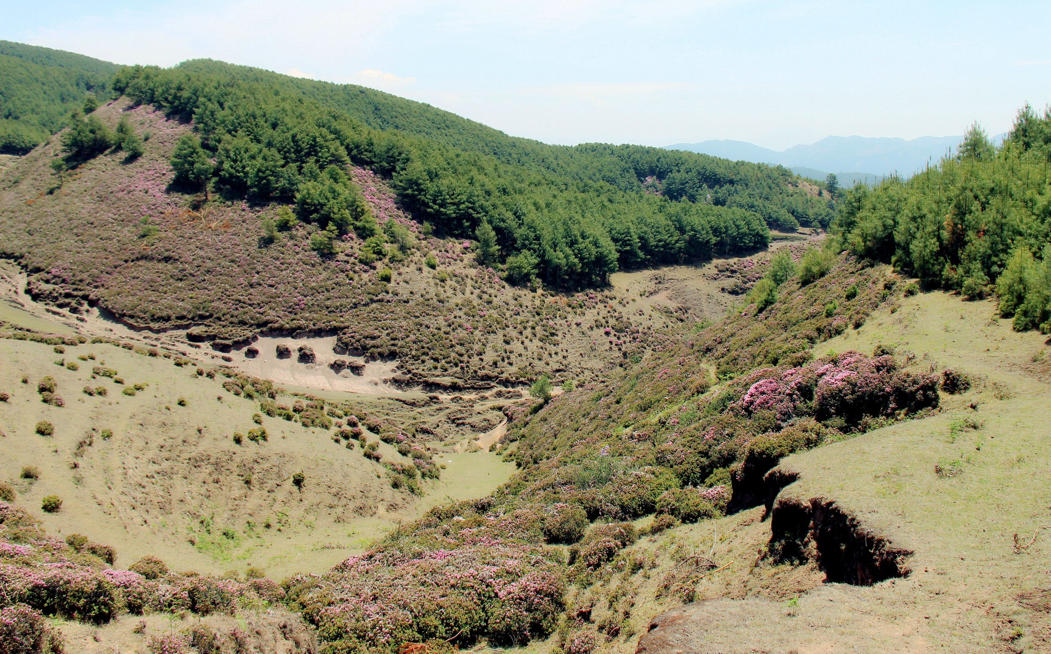 1小长假云南昆明周边(白大营草场,石板河景区,禄劝马鹿塘)三日自驾游