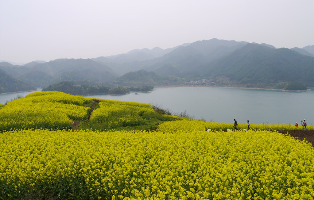 绍兴沃洲湖游览看点推荐,春日踏青赏花好去处