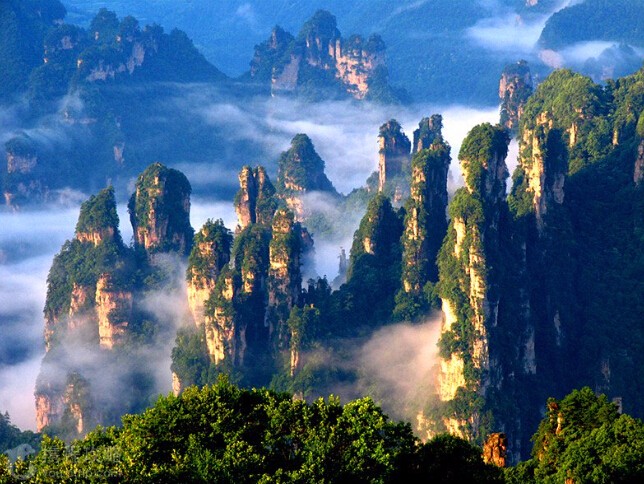 中国第一个国家森林公园:缩小的仙境,扩大的盆景