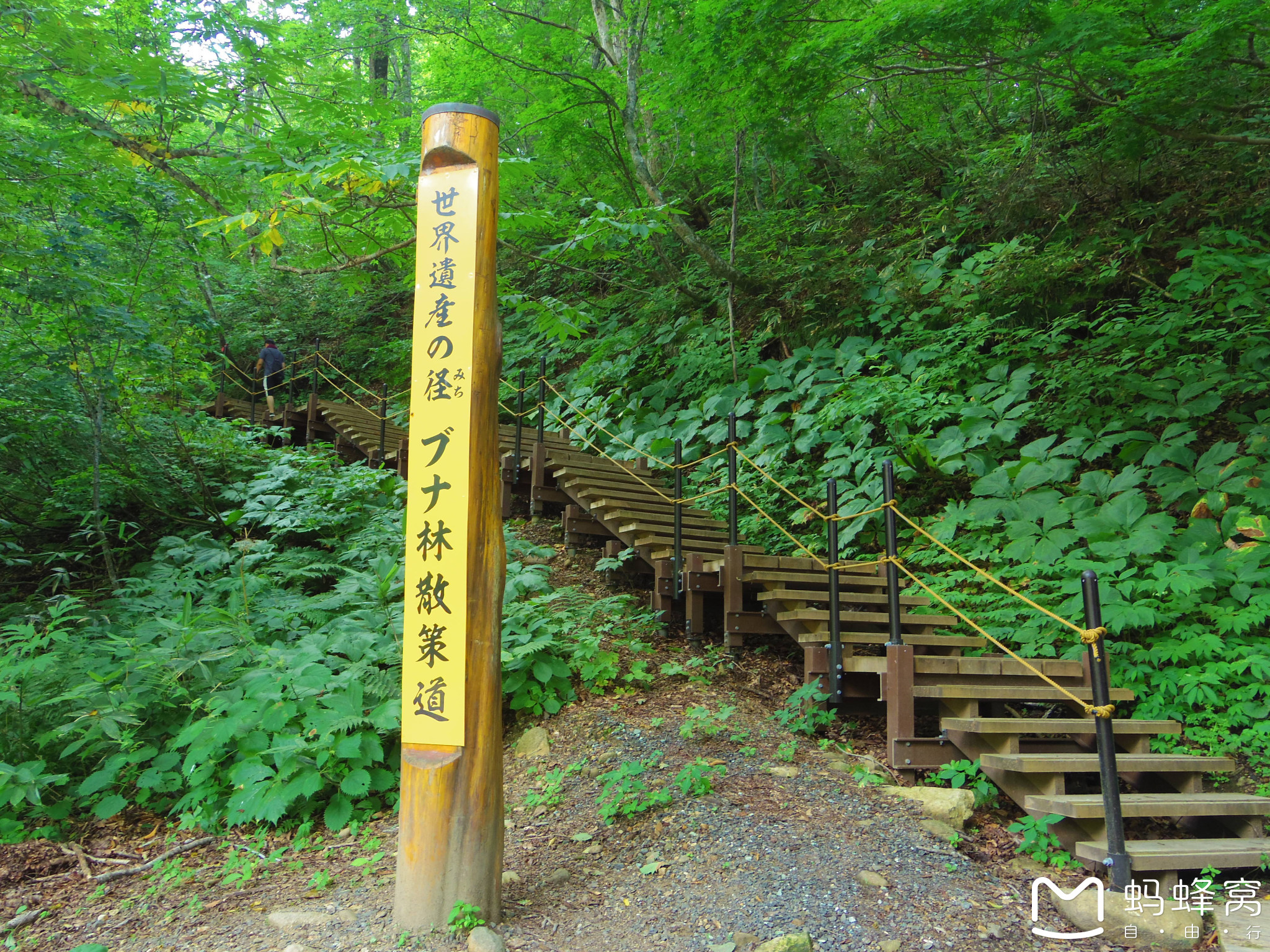 白神山地攻略 白神山地门票 地址 白神山地景点攻略 马蜂窝